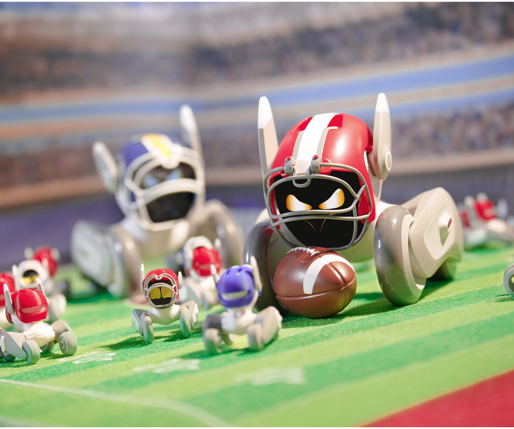 Football Fanatic