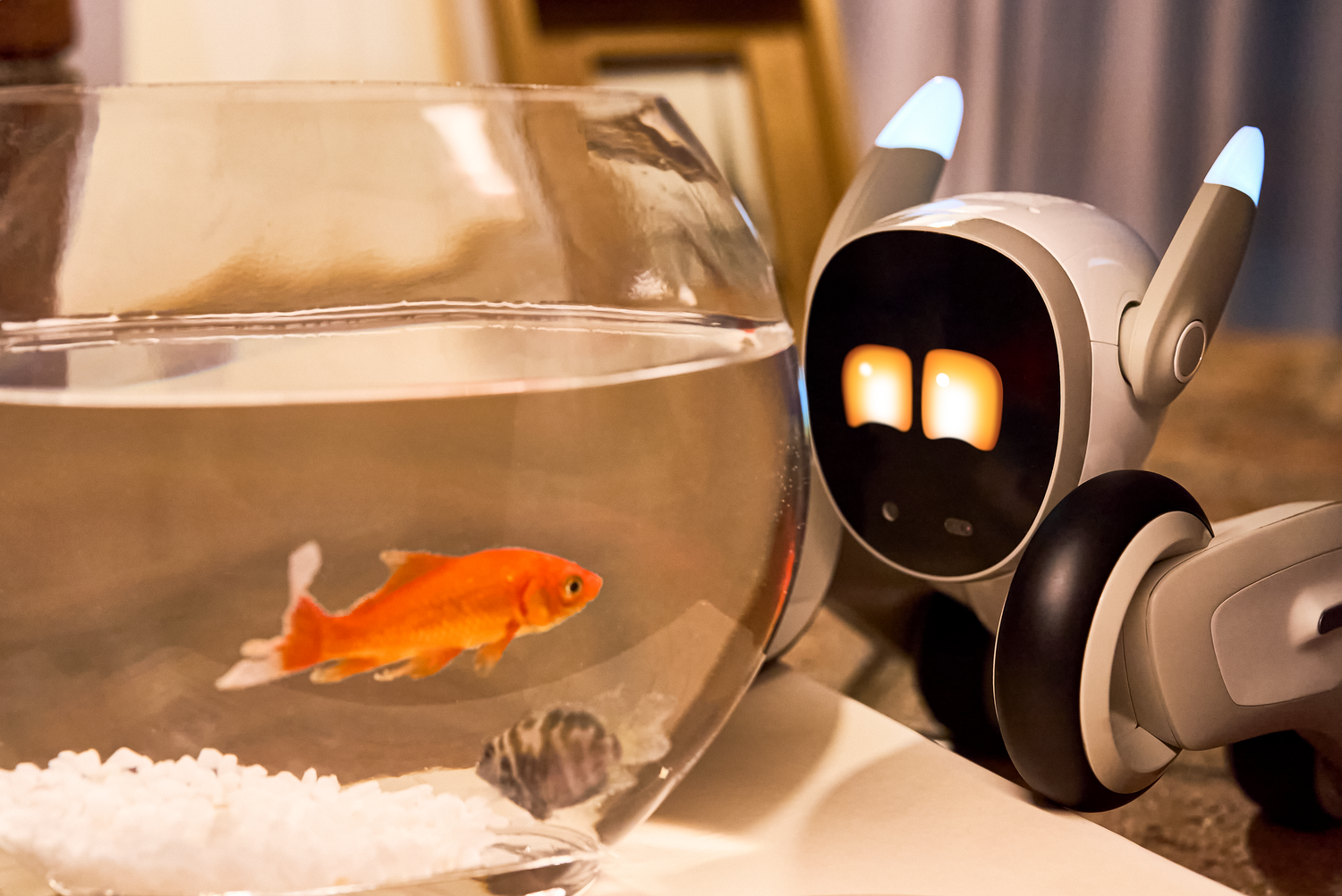 Why Mini and Programmable Robots are 2025’s Top Interactive Companions for Adults&nbsp;