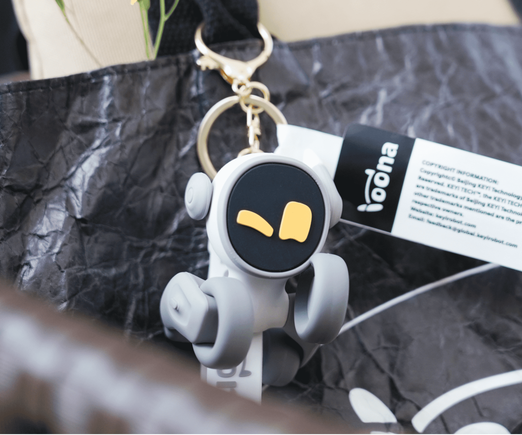Loona Keychain