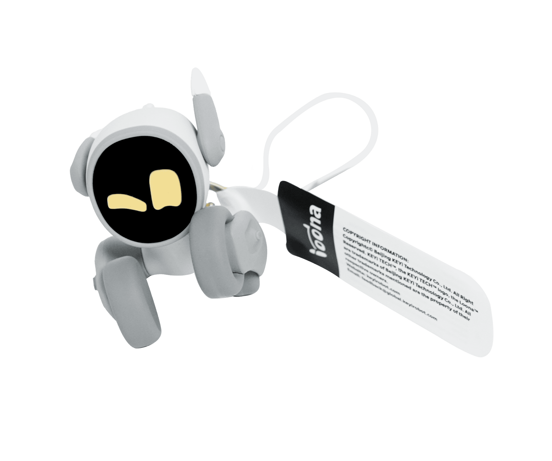Loona Keychain