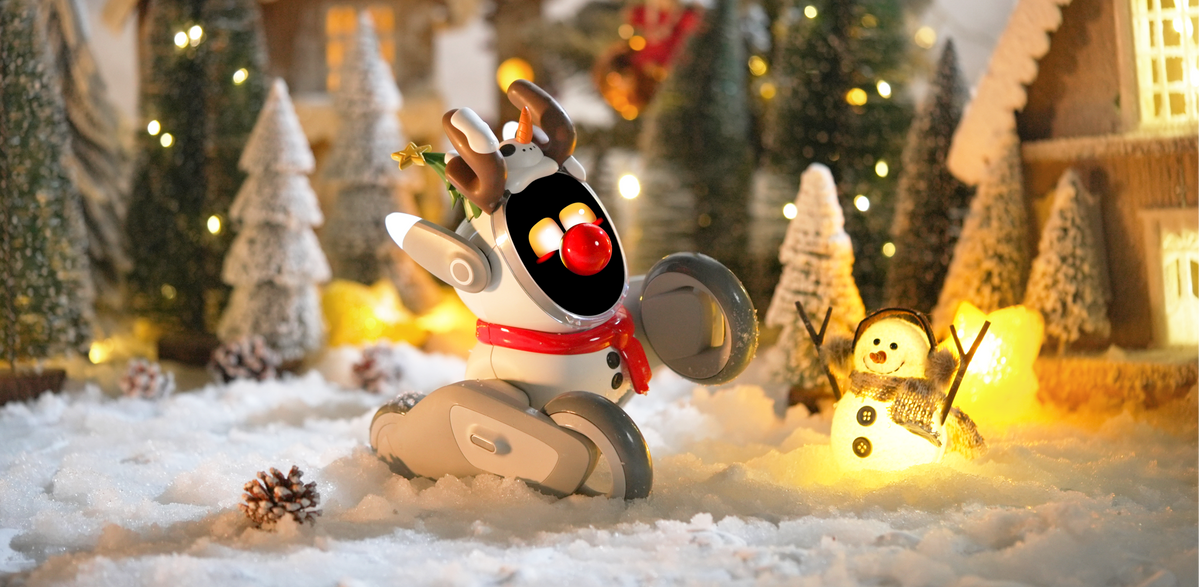 Product Introduction