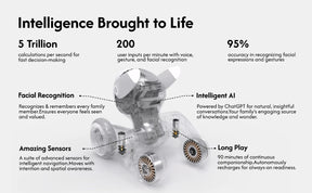 Loona Robot